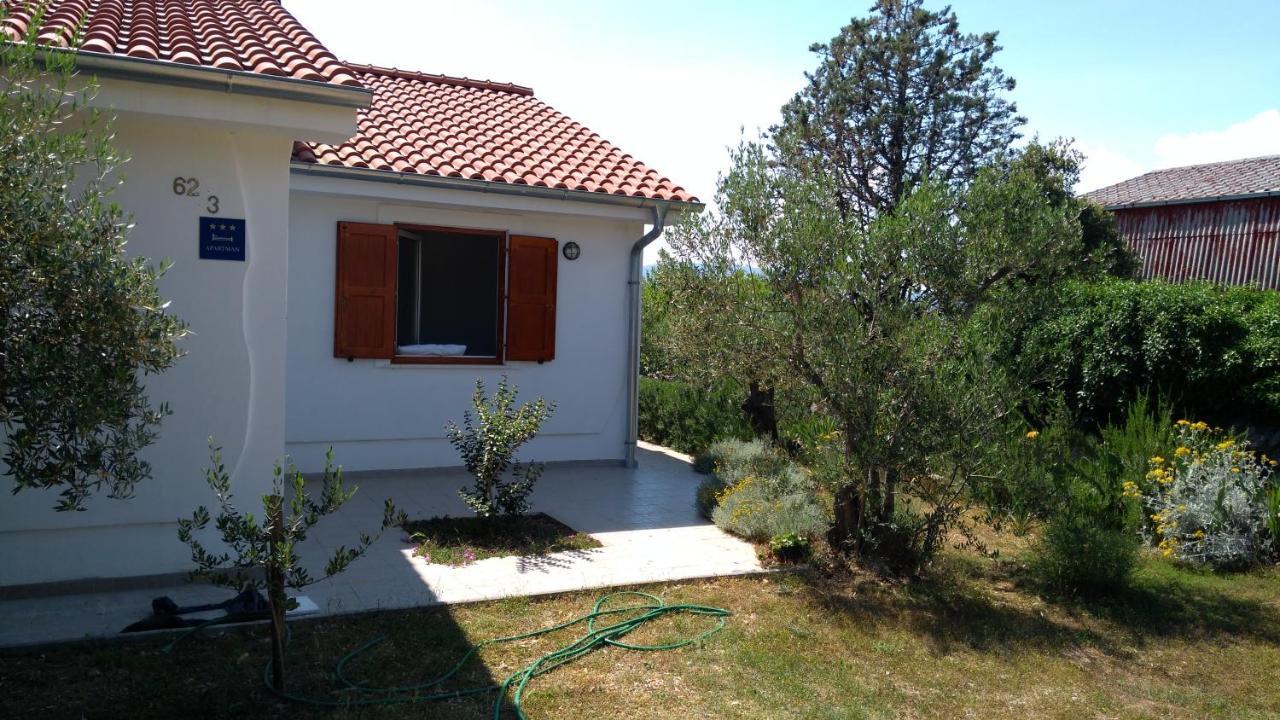Apartman Ruza Brzac المظهر الخارجي الصورة