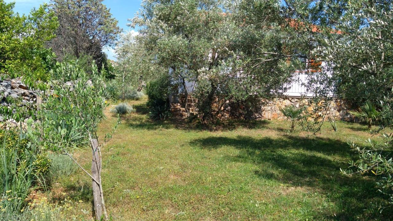 Apartman Ruza Brzac المظهر الخارجي الصورة