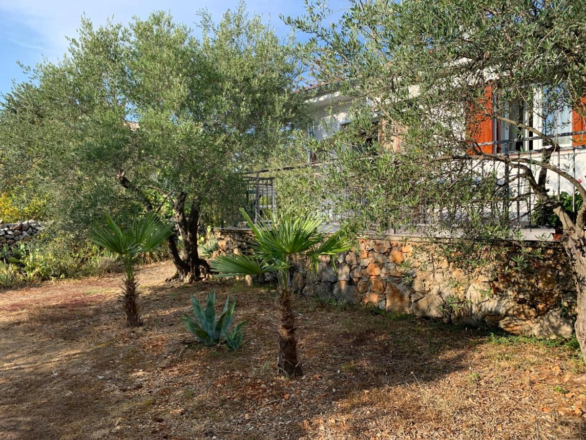 Apartman Ruza Brzac المظهر الخارجي الصورة